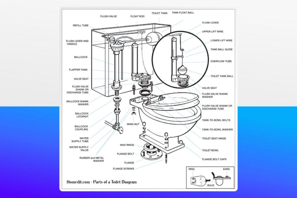 Key Toilet Components Overview